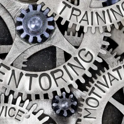 Erfolgreiches Mentoring