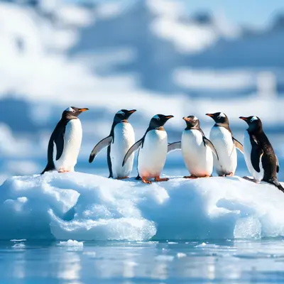 LFD450: Embedded Linux Development