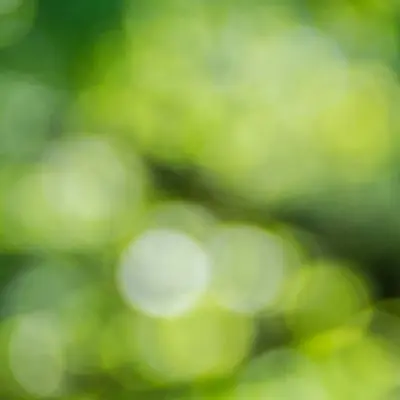 IT-CO2-Bilanz erstellen: Von Daten zu Taten