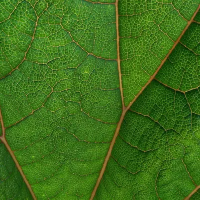 Green IT Governance & Reporting: Wirkung statt Symbolik