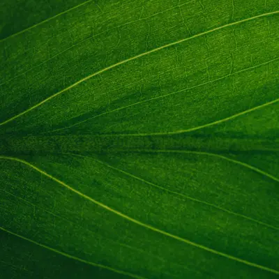 Green IT für KMU: Nachhaltig, messbar, wirksam