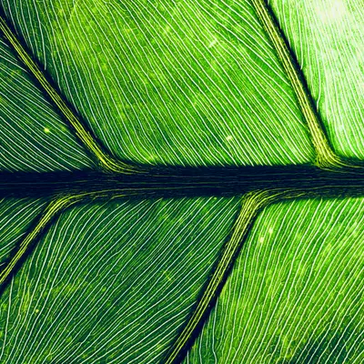 Photoshop & Midjourney Aufbaukurs: Der professionelle KI-Workflow