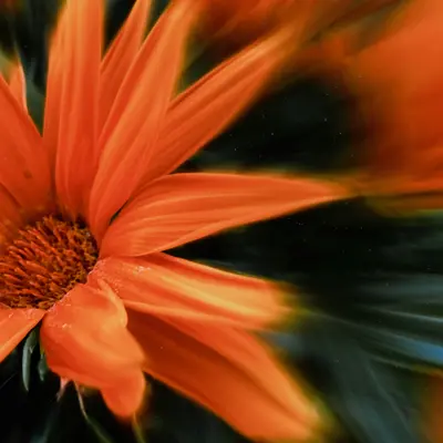 Adobe After Effects Advanced - die Tricks der Motion Designer