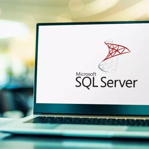 SQL Server Reporting Services (SSRS)
