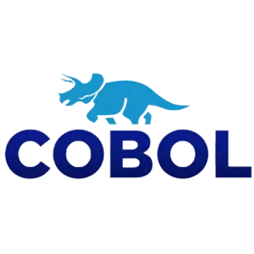 COBOL Intensivtraining