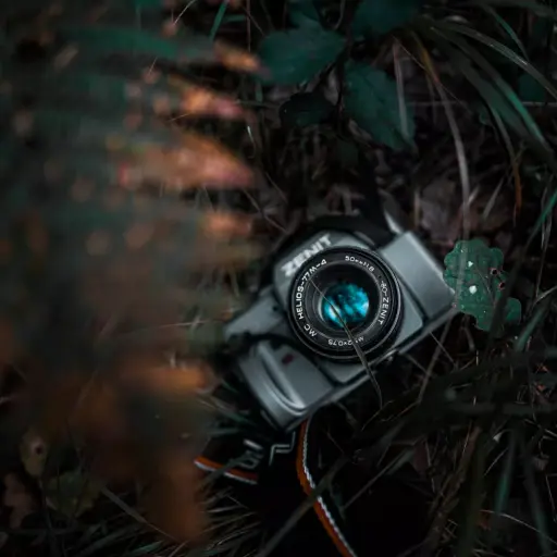 Photoshop Lightroom – Der Turbo-Workflow für brillante Fotos