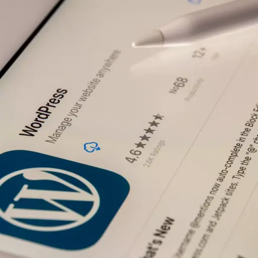 WordPress für Administratoren und Entwickler